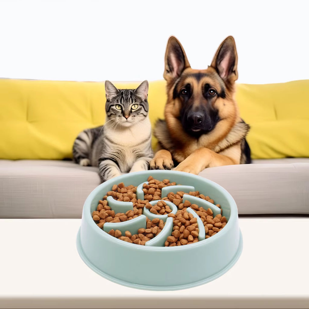Aurovane Anti-Choking Pet Slow Food Bowl