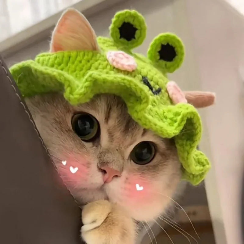 Aurovane Cute Woven Pet Hat