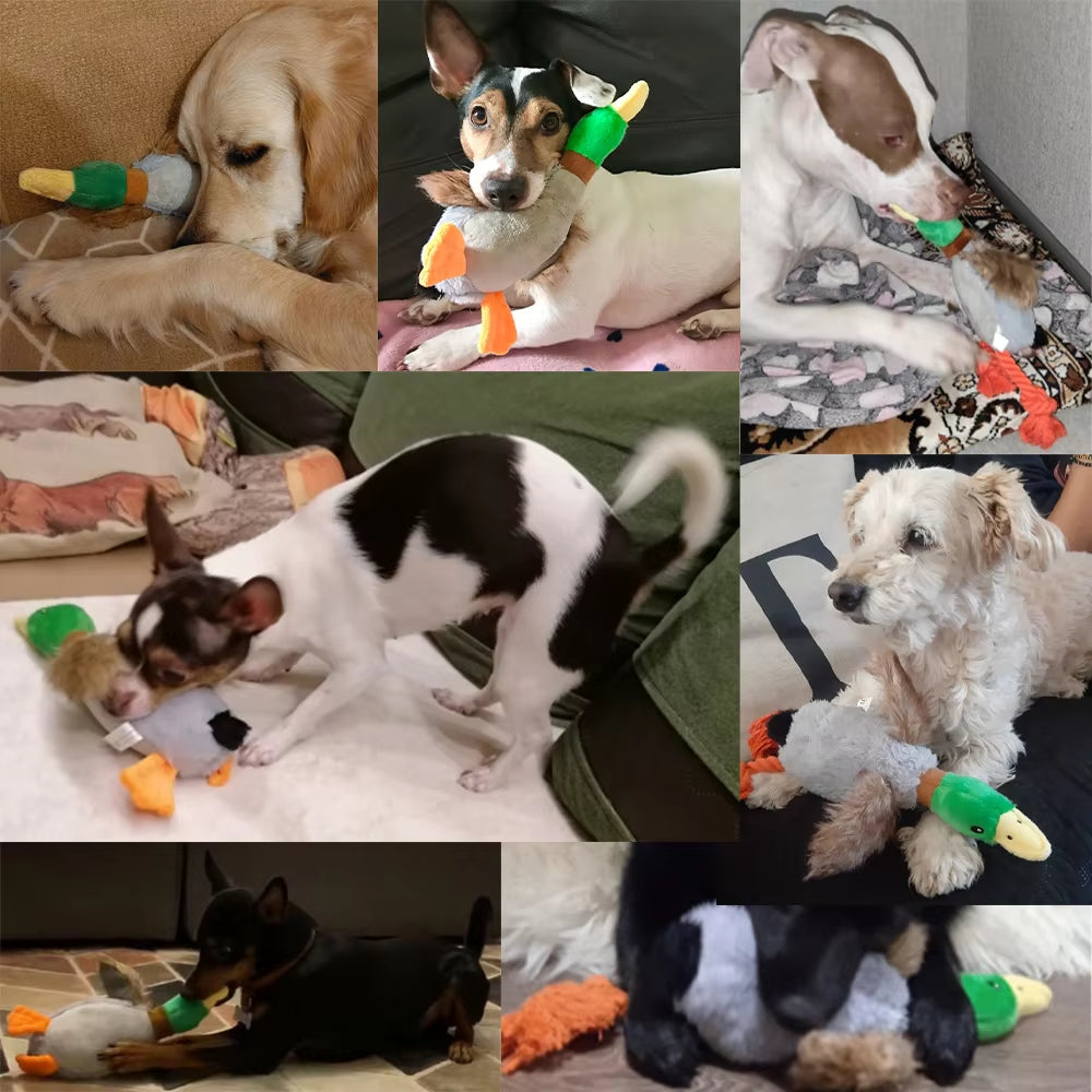 Aurovane Cute Duck Toy For Dog